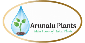 Arunalu Plants Oils